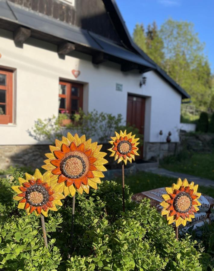 Villa Rozpravkovy Domcek Zvoncek Donovaly Exterior foto