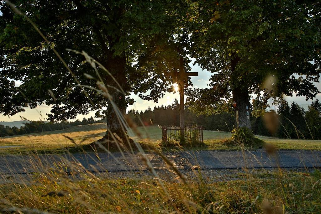 Villa Rozpravkovy Domcek Zvoncek Donovaly Exterior foto